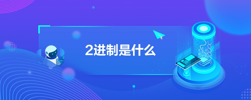 “2進制是什么”
