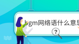 bgmWjZʲô˼