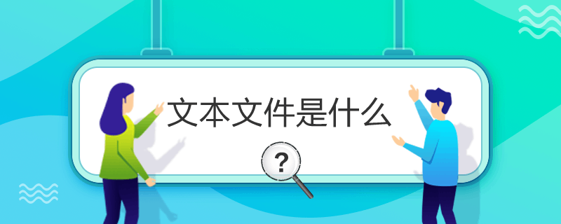 文本文件是什么