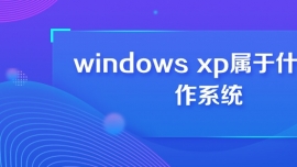 windows xpʲôϵy