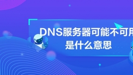 DNSܲʲô˼