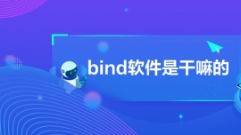 bind軟件是干嘛的