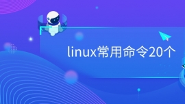 linux20