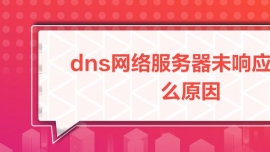 dnsWjδ푑ʲôԭ